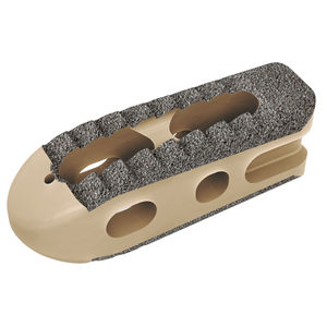 caja intersomática lumbar