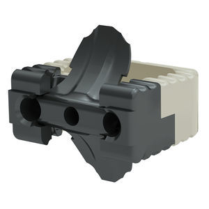 caja intersomática cervical