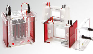 cubeta de electroforesis vertical