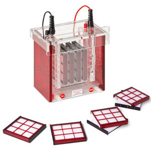 cubeta para blot para western blot