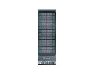 microarray para ADN 1