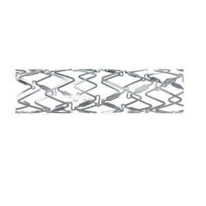 stent arteria coronaria