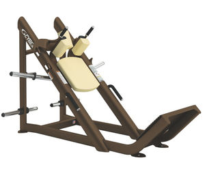 máquina de musculación squat