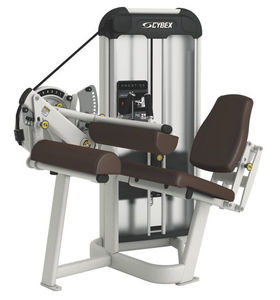 máquina de musculación curl de piernas
