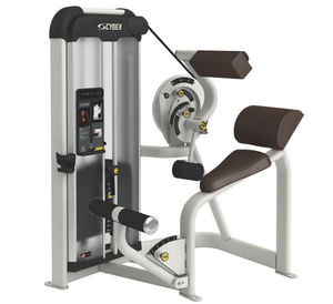 máquina de musculación extensión de espalda