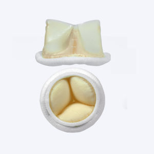 bioprótesis valvular aórtica 1