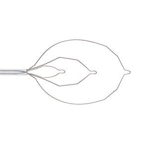 cesta endoscopica para la extracción de pólipos intestinales