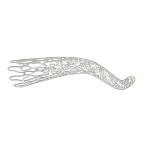 stent arteria coronaria