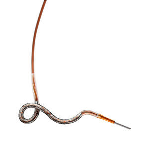 stent arteria coronaria