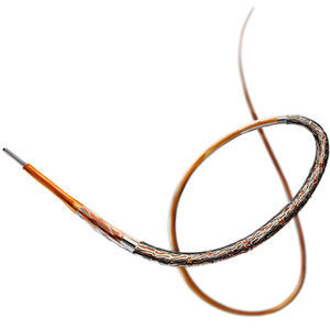 stent arteria coronaria