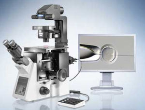 microscopio digital