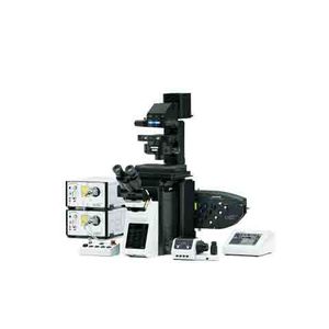 microscopio digital