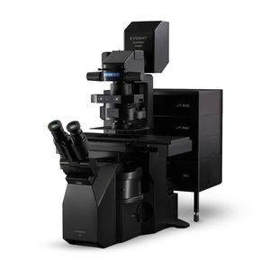 microscopio óptico 1