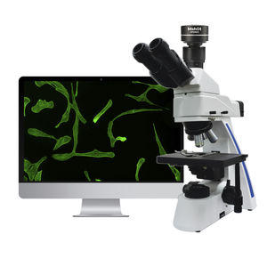 microscopio de fluorescencia