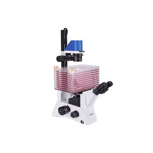 microscopio óptico 1