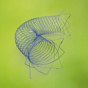 stent intracraneal