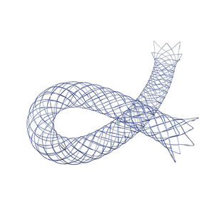 stent intracraneal