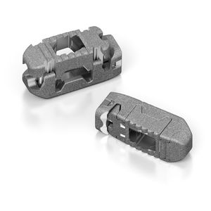 caja intersomática lumbar 1