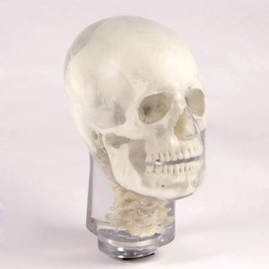 fantoma de prueba para radiología 1