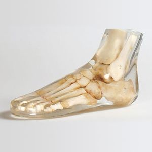 fantoma de prueba para radiología 1