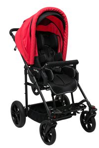 carrito para niños con discapacidad 1