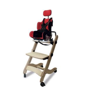 carrito para niños con discapacidad 1