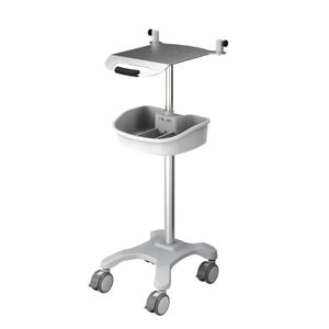 carro compatible con IRM