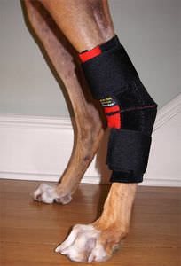 protector articular veterinario codera