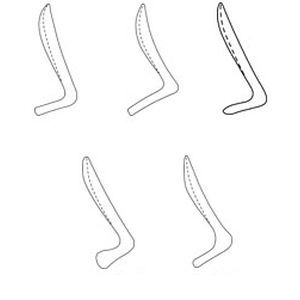 implante nasal