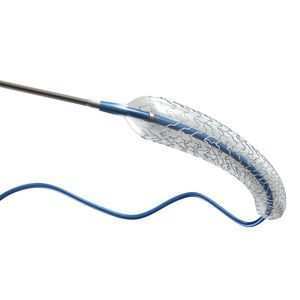 stent arteria coronaria