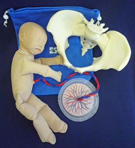 maniquí de prácticas de parto / fetal