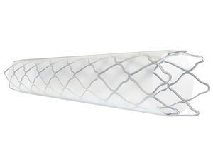 stent arteria coronaria