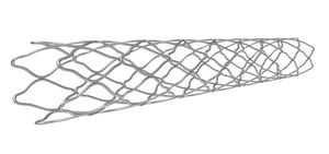stent arteria coronaria