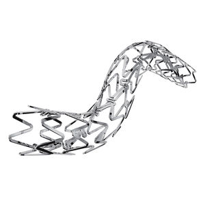 stent arteria coronaria 1