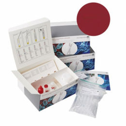 prueba rápida para enfermermedades infecciosas
