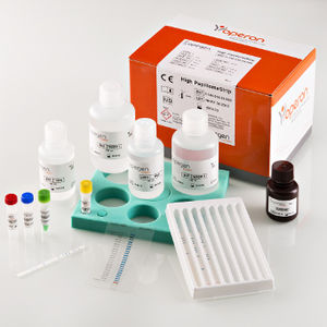 kit de prueba HPV / para ADN