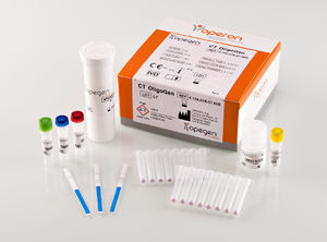 prueba rápida de clamidia / de Chlamydia trachomatis / para ADN