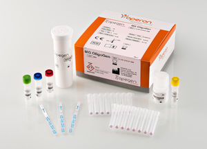 prueba rápida para enfermermedades infecciosas / Mycoplasma / para ADN / inmunocromatográfica