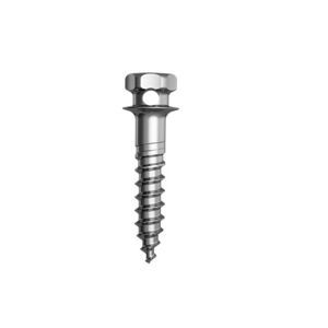 tornillo de compresión ósea para mandíbula 1