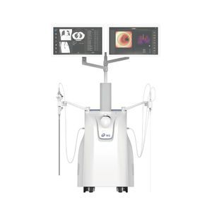 simulador para ecoendoscopia bronquial 1