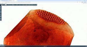 software de gestión 1