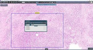 software de control 1