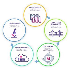 sistema de gestión y análisis de visualización 1