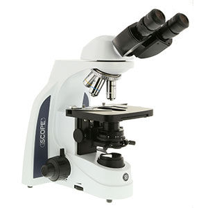 microscopio óptico