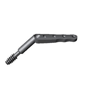 placa de compresión para cabeza femoral