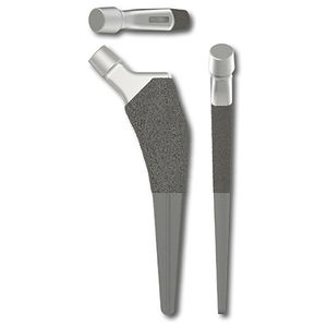 vástago femoral no cementado