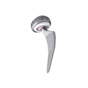 prótesis acetabular no cementada