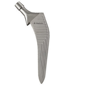 vástago femoral no cementado
