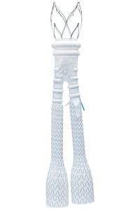 stent-injerto aorta abdominal 1