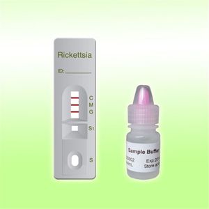 prueba rápida para enfermermedades infecciosas